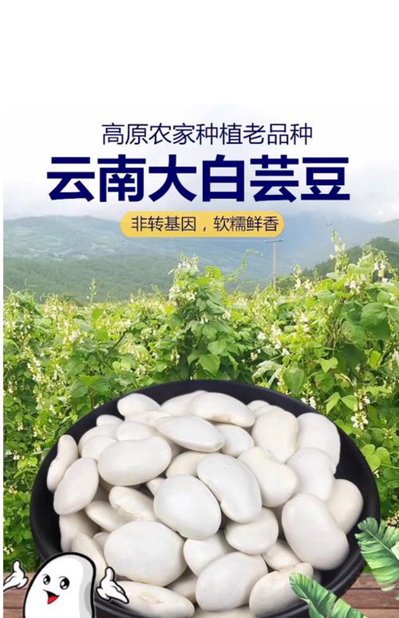 经营部秘籍：如何让宜州食品更受欢迎